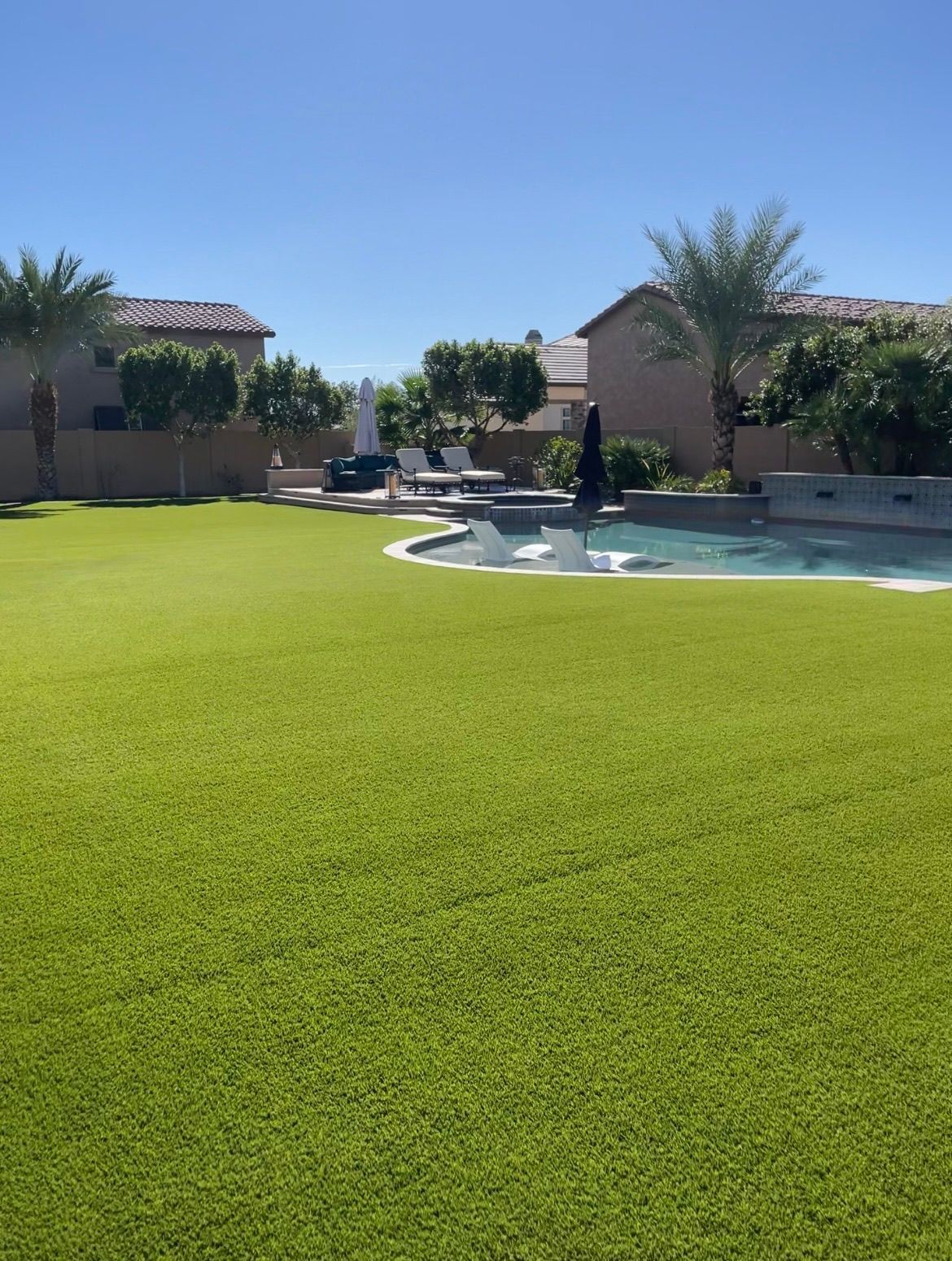 Artificial Turf Cleaning