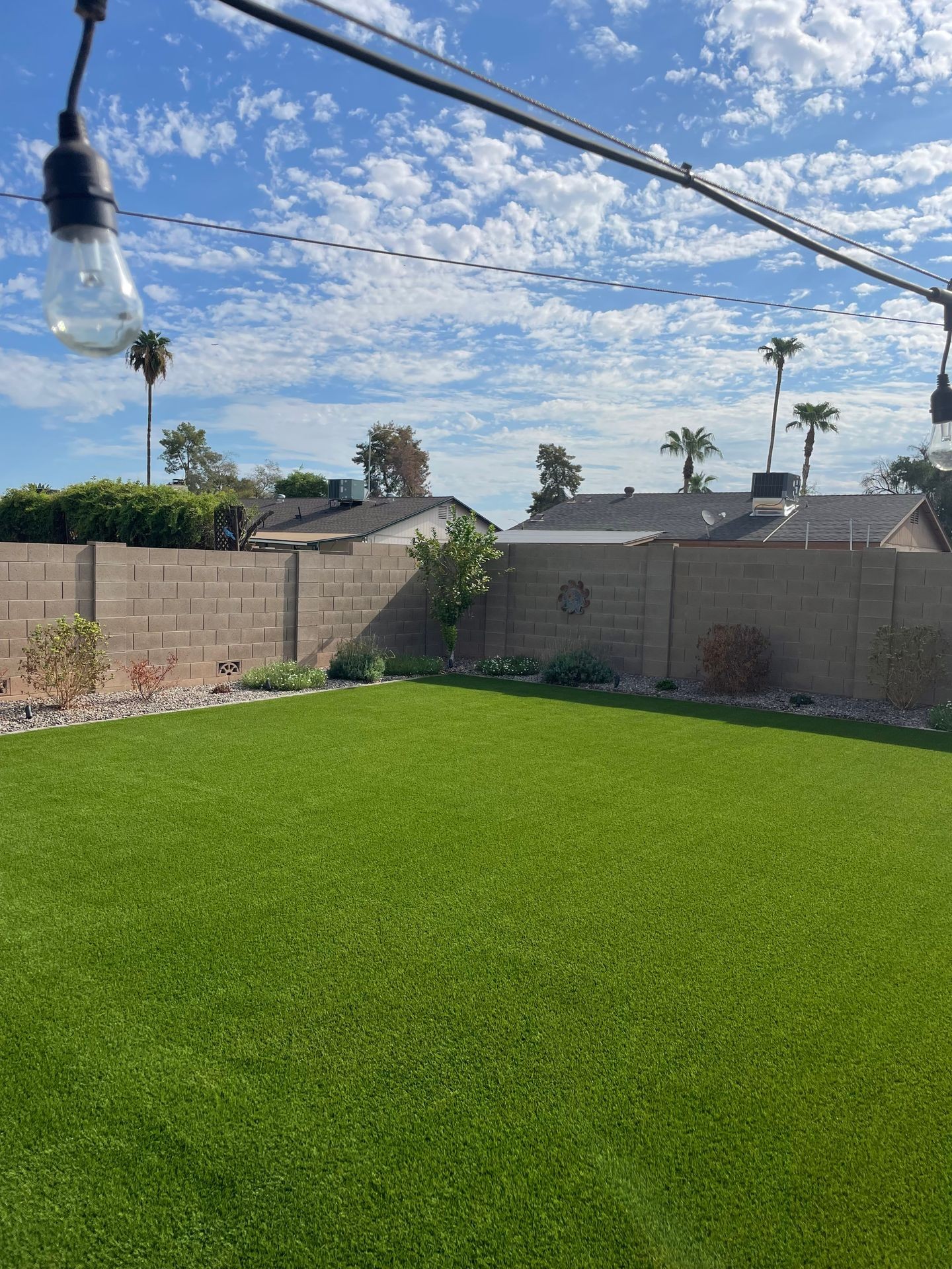 Premium Extraction Turf Clean